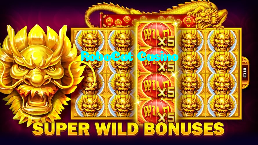 RoboCat Casino casino presented on mobile device in Pakistan with slots and live games
